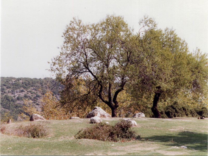 Ταξίδια